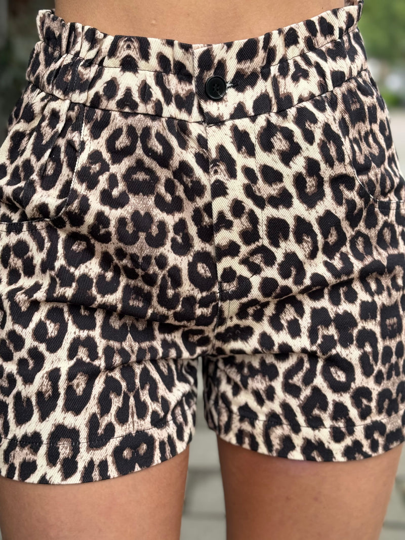 Short Leopard | Tiffany